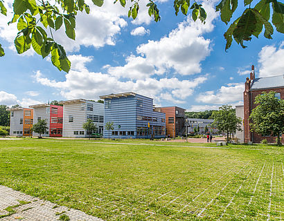 Campuswiese