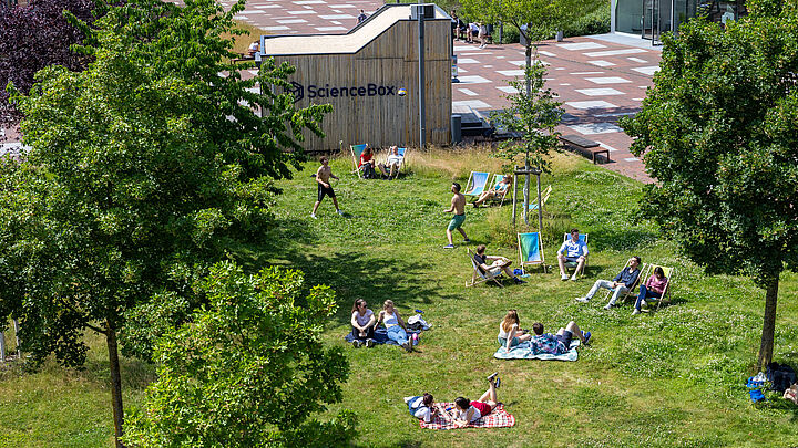 Blick von oben auf die Wiese zwischen Halle 17 und Haus 16 der TH Wildau