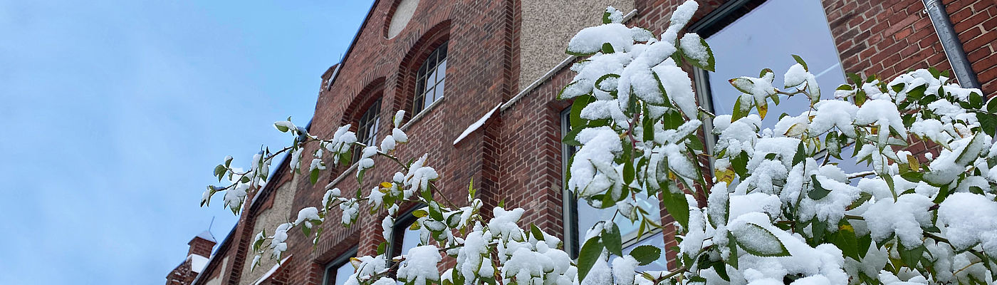Halle 14 fotografiert aus der Froschperspektive mit schneebedecktem Busch im Vordergrund