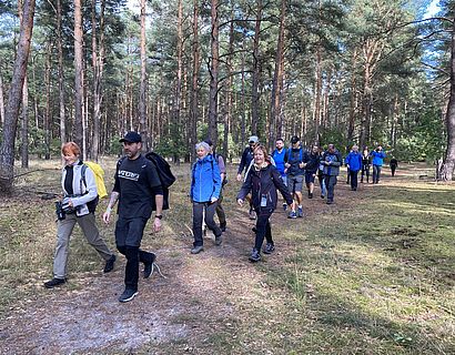 Wanderung durch den Kiefernwald