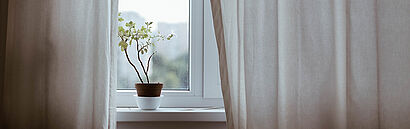 Vorhänge Blume auf dem Fensterbrett umgeben von langen beigefarbenen Vorhänge
