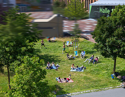 Grüne Wiese auf dem Campus der TH Wildau, wo Studierende sitzen und Volleyball spielen