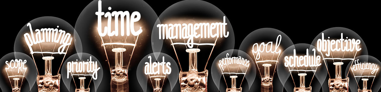 Verschiedene Glühbirnen gefüllt mit Management-Begriffen