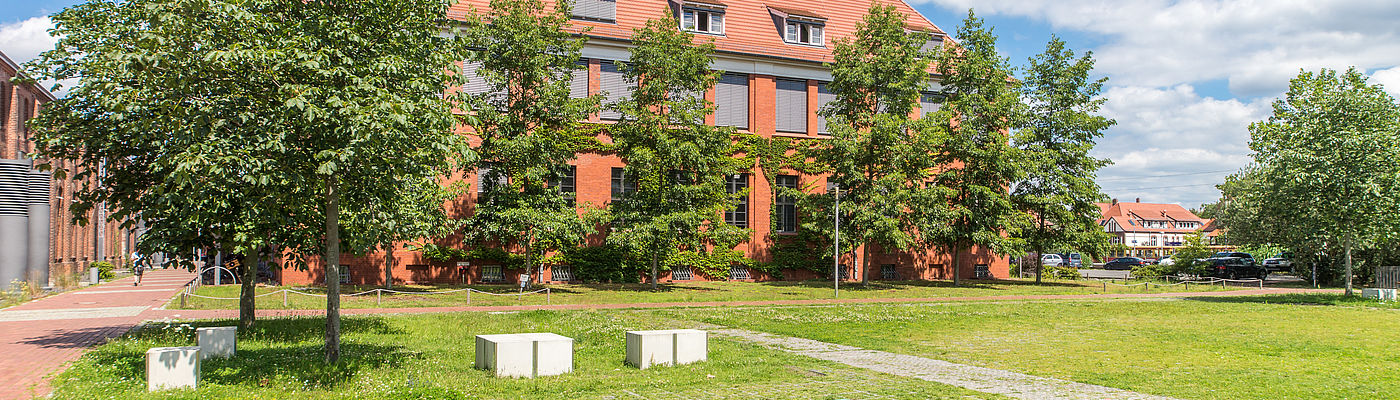 Campuswiese mit Blick zum Haus 13