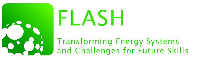 FLASH Logo