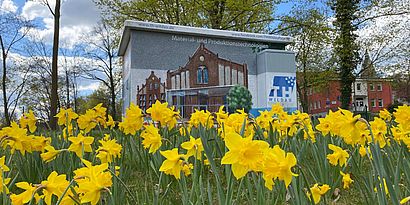 Osterglocken auf dem Campus der TH Wildau