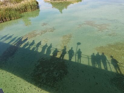 Impressionen der Exkursion nach Wien