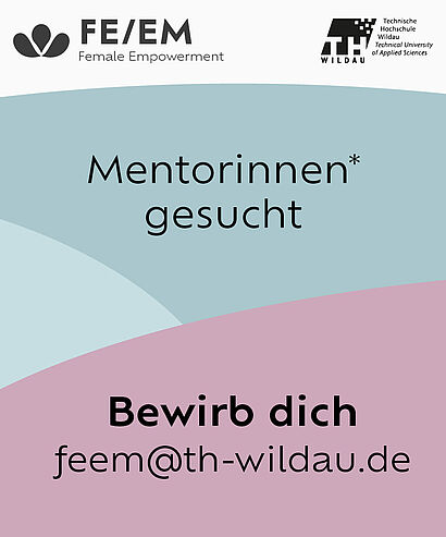 Aufruf: Mentorinnen* geuscht