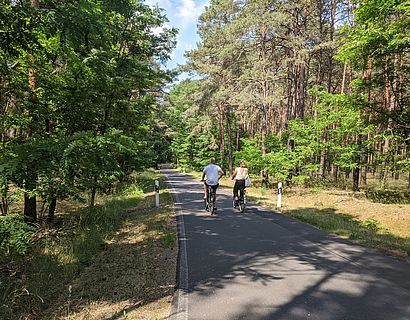 Zwei Radfahrende von hinten, die einen betonierten Weg zwischen Bäumen und Sträuchern zurücklegen