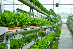 Wie sieht die Ernährung der Zukunft aus? Wildauer Wissenschaftswoche 2025 präsentiert neue Technologien und Visionen