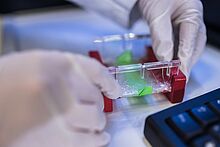 Forschungsprojekt an der TH Wildau im biotechnologischen Bereich (Bildnachweis Matthias Friel / Copyright TH Wildau) Forschungsprojekt an der TH Wildau im biotechnologischen Bereich (Bildnachweis Matthias Friel / Copyright TH Wildau)
