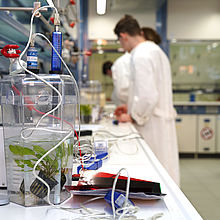 Fachtag Technik Naturwissenschaften
