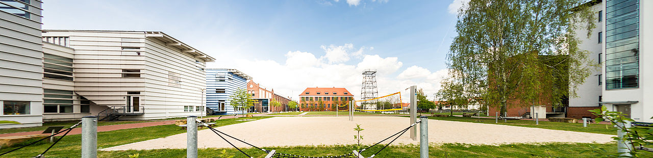 Campus mit Blick auf Campuswiese und Beachvolleyballplatz